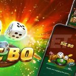 FAQs Thường Gặp Về Chiến Thuật Chơi Sicbo Online Tại Sin88